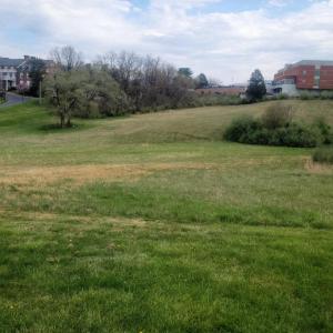 Photo #5 of MAIN STREET & MEMORIAL DRIVE, LURAY, VA 4.8 acres