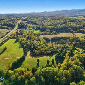 Photo #8 of SEMINOLE, MADISON, VA 3.7 acres