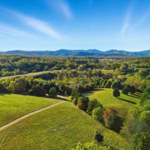 Photo #9 of SEMINOLE, MADISON, VA 3.7 acres