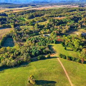 Photo #4 of LOT 3 N SEMINOLE TRL, MADISON, VA 3.0 acres