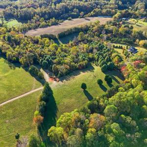 Photo #6 of LOT 3 N SEMINOLE TRL, MADISON, VA 3.0 acres