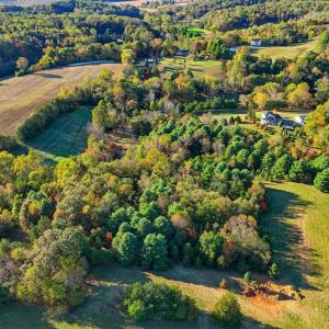 Photo #17 of LOT 3 N SEMINOLE TRL, MADISON, VA 3.0 acres