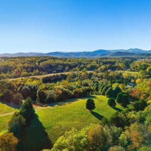 Photo #29 of LOT 3 N SEMINOLE TRL, MADISON, VA 3.0 acres