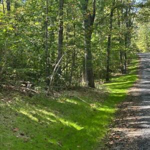 Photo #1 of FINN LN, ELKWOOD, VA 30.0 acres