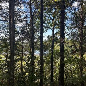 Photo #1 of KIPPS LN, ELKWOOD, VA 10.0 acres