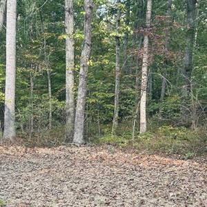 Photo #1 of CAMDEN LN, ELKWOOD, VA 30.0 acres