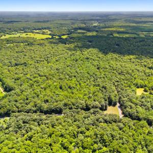 Photo #1 of CAMDEN, ELKWOOD, VA 30.0 acres