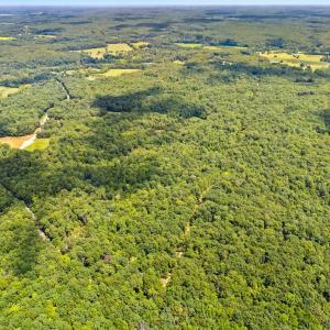 Photo #7 of CAMDEN, ELKWOOD, VA 30.0 acres