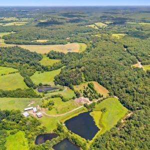Photo #6 of CAMDEN, ELKWOOD, VA 30.0 acres