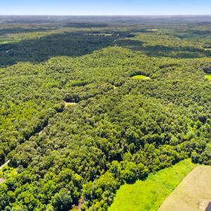 Photo #7 of KIPPS LN, ELKWOOD, VA 30.7 acres