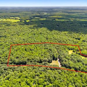 Photo #1 of KIPPS LN, ELKWOOD, VA 30.7 acres