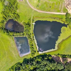 Photo #6 of TEAL, ELKWOOD, VA 90.0 acres