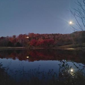 Photo #1 of TEAL, ELKWOOD, VA 90.0 acres