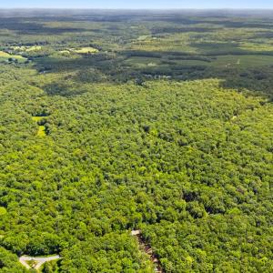 Photo #4 of KIPPS, ELKWOOD, VA 30.1 acres