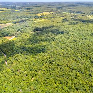 Photo #7 of KIPPS, ELKWOOD, VA 23.0 acres