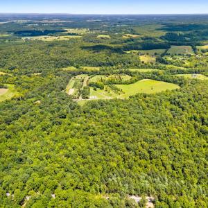 Photo #2 of KIPPS, ELKWOOD, VA 23.0 acres