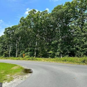 Photo #1 of 10220 JIM MORRIS RD, FREDERICKSBURG, VA 10.0 acres