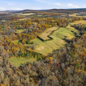 Photo #13 of TRASARA RD, RAPIDAN, VA 44.7 acres