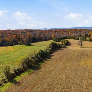 Photo #5 of TRASARA RD, RAPIDAN, VA 44.7 acres