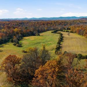 Photo #18 of TRASARA RD, RAPIDAN, VA 44.7 acres