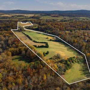 Photo #3 of TRASARA RD, RAPIDAN, VA 44.7 acres