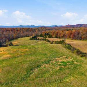 Photo #6 of TRASARA RD, RAPIDAN, VA 44.7 acres