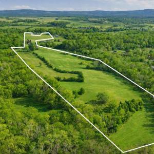 Photo #3 of TRASARA RD, RAPIDAN, VA 44.7 acres