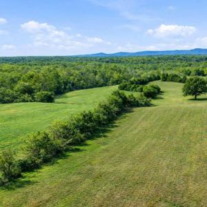 Photo #4 of TRASARA RD, RAPIDAN, VA 44.7 acres