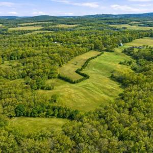 Photo #8 of TRASARA RD, RAPIDAN, VA 44.7 acres