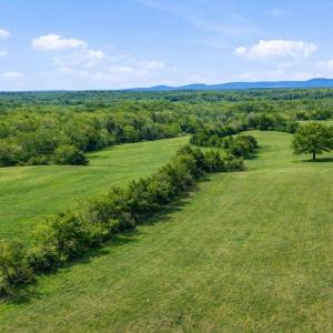 Photo #14 of TRASARA RD, RAPIDAN, VA 44.7 acres