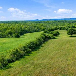 Photo #2 of TRASARA RD, RAPIDAN, VA 44.7 acres