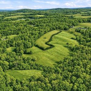 Photo #10 of TRASARA RD, RAPIDAN, VA 44.7 acres