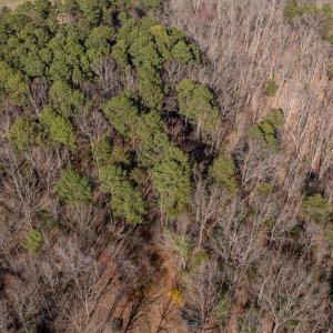 Photo #12 of 4669 PARTLOW RD, PARTLOW, VA 22.2 acres