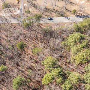 Photo #13 of 4669 PARTLOW RD, PARTLOW, VA 22.2 acres