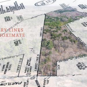 Photo #1 of 4669 PARTLOW RD, PARTLOW, VA 22.2 acres