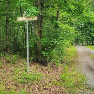 Photo #12 of ORCHID LAKE DR, GUM SPRING, VA 0.3 acres