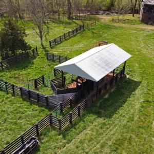 Photo #13 of SLATE MILL RD, STANARDSVILLE, VA 74.9 acres