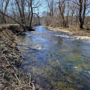 Photo #53 of SLATE MILL RD, STANARDSVILLE, VA 74.9 acres