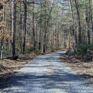 Photo #70 of SLATE MILL RD, STANARDSVILLE, VA 74.9 acres