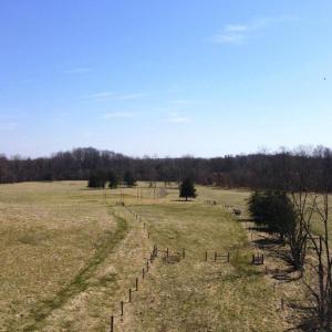 Photo #16 of SLATE MILL RD, STANARDSVILLE, VA 54.0 acres