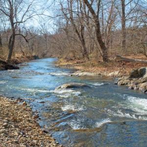 Photo #31 of SLATE MILL RD, STANARDSVILLE, VA 54.0 acres