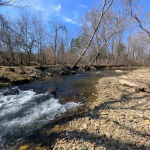 Photo #51 of SLATE MILL RD, STANARDSVILLE, VA 54.0 acres