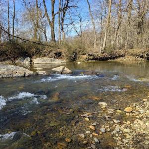 Photo #55 of SLATE MILL RD, STANARDSVILLE, VA 54.0 acres