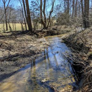 Photo #68 of SLATE MILL RD, STANARDSVILLE, VA 54.0 acres