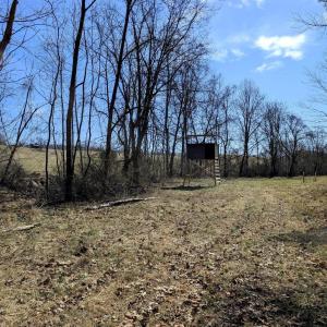 Photo #69 of SLATE MILL RD, STANARDSVILLE, VA 54.0 acres