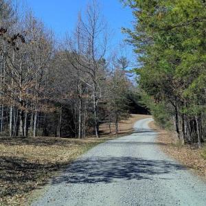 Photo #72 of SLATE MILL RD, STANARDSVILLE, VA 54.0 acres