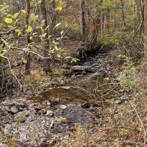 Photo #13 of GID BROWN HOLLOW, WASHINGTON, VA 27.9 acres