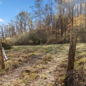 Photo #5 of GID BROWN HOLLOW, WASHINGTON, VA 27.9 acres