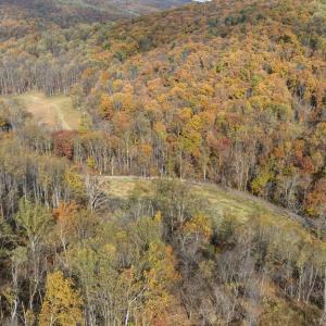 Photo #26 of GID BROWN HOLLOW, WASHINGTON, VA 27.9 acres