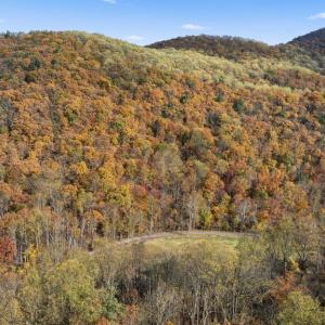 Photo #27 of GID BROWN HOLLOW, WASHINGTON, VA 27.9 acres